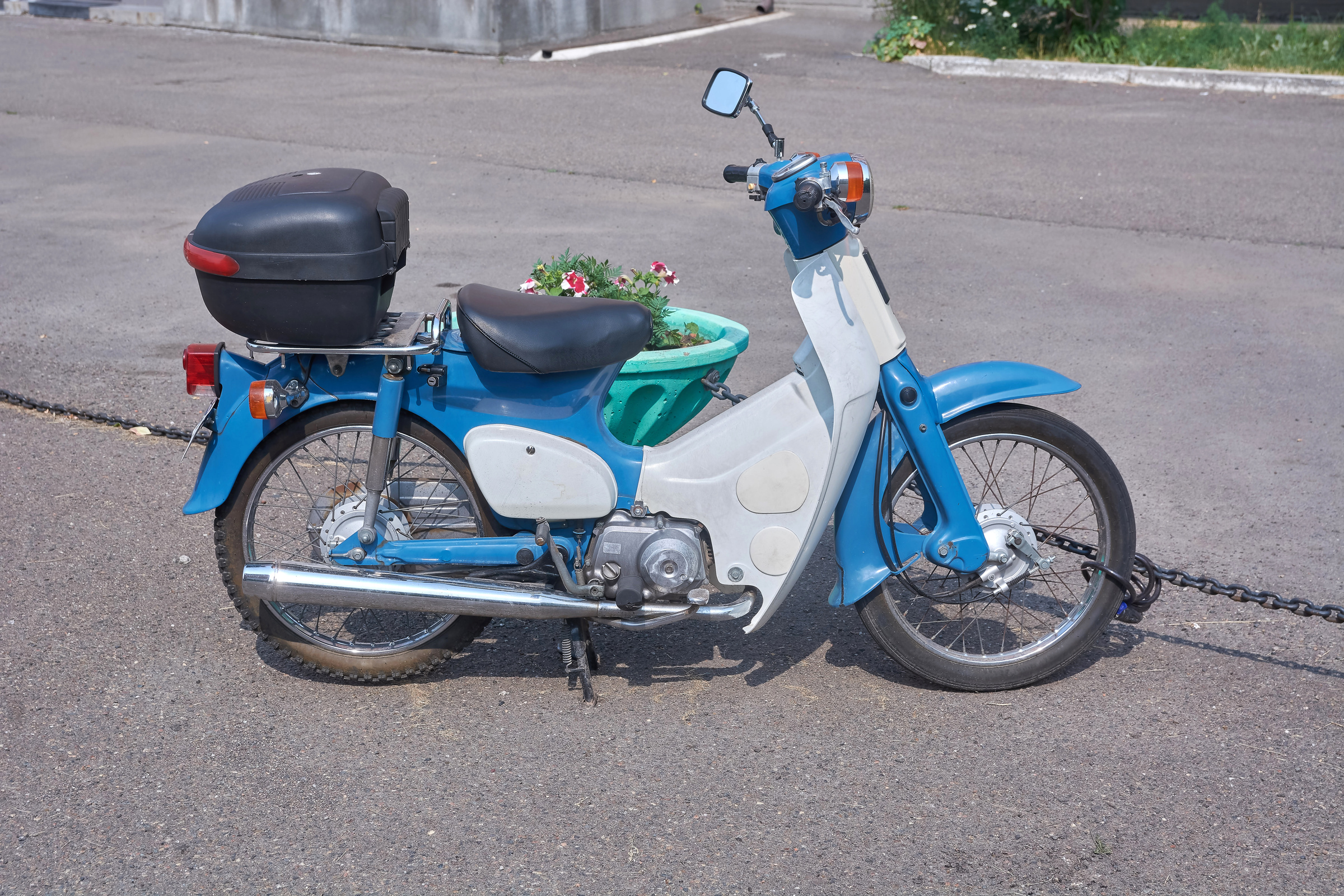 Honda 50 std